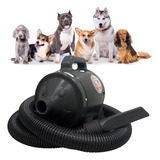 Soprador Secador Pet / Petshop / Banho E Tosa / Preto