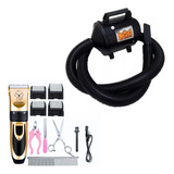Soprador Secador Profissional Banho E Tosa Pet Shop 10.0z Z
