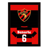 Sport Club Recife, Brasileiro 1987, Quadro