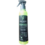 Spray Anti-odor Expert Clean Pro Bactericida Fungicida 300ml