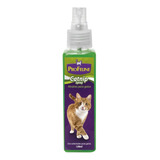 Spray Catnip Da Profeline Para Divertir Gatinhos