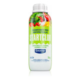 Starclor Desinfetante Para Frutas Verduras Legumes Start 1kg
