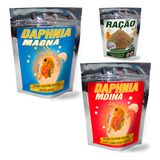 Start De Daphnia Moina + Daphnia Magna + Ração