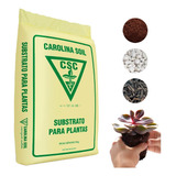 Substrato Carolina Soil, Turfa Perlita Casca Arroz 969 - 9kg