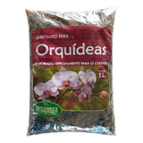 Plantas