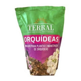Orquídeas