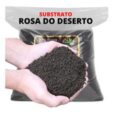 Substrato Rosa Do Deserto Com Fertilizante