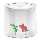 Sunsun Beteira Led Ats-320 5l C/ Sump E Iluminação - Branco