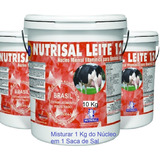 Suplemento Mineral Vaca Leite Nucleo P Mineralizar Sal 10 Kg