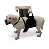 Suporte Apoio Para Cão Com Displasia/dores-tam G (70-93 Cm)