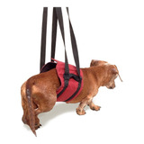 Suporte Apoio Para Cão Com Displasia/dores-tam Pp (36-48cm)