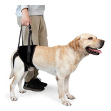 Suporte Apoio Para Quadril - Cão Com Displasia E Dores