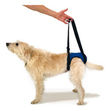 Suporte Apoio Quadril- Displasia E Dores - M Virilha 58-69cm