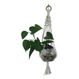 Suporte De Planta Vasos Macrame Plant Hanger 60cm 