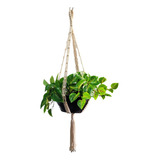 Cachepots