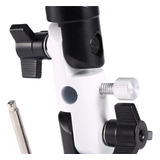 Nfe