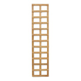 25x80