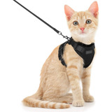 T Conjunto Arnês E Trela Para Gato Arreio Colete Para Gato C