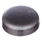 Tampão Selo Cabeçote Vectra 97/05 S10 95/96 Corsa 94/96 Cx7