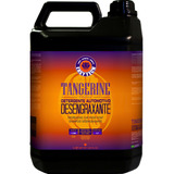 Tangerine Shampoo Automotivo Desengraxante De 5l Easytech