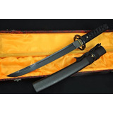 Aisi1060