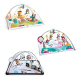Tapete Atividades Bebe Tummy Time Educativo Tiny Love Gymini