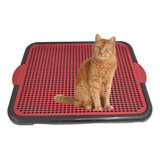 Tapete Coletor Para Caixa De Areia De Gato Limpa Patas 55x42
