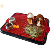 Tapete Higienico P/ Coelhos Gatos Porquinho Hamster Ratos
