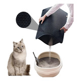 Gatos
