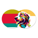Colorido