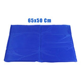 50cm