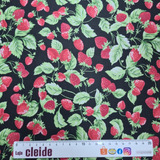 Tecido Tricoline 100% Algodão - Peripan Cozinha 3 Metros