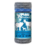 Morlan