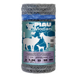 Morlan