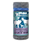 Morlan