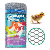 Morlan