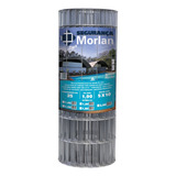 Morlan