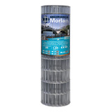 Morlan