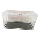 Tenda De Cultivo De Cogumelo, Caixa Transparente, Mini