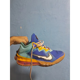 Tenis Nike Lebron James Looney Tunes