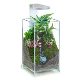 Terrario Chihiros Wabi Kusa Quadrada Base+glass Air+magnetc