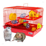 Terrario Para Hamster 2 Andares Totalmente Seguro Átoxico