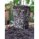 Terrô Folhas & Flores 3 Litros - Substrato Plantas Vaso