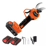 Bivolt