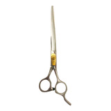 Profissional