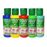 Tinta Acrílica Acrilex Nature Colors Kit C/ 5 Cores-promoção