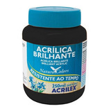 Tinta Acrílica Brilhante 250ml Preto 520