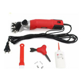 220v