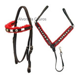 Cavalo