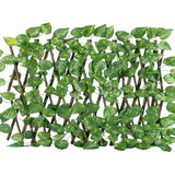 Planta